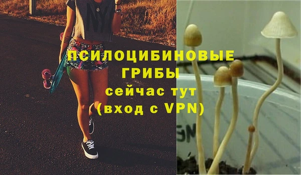 Альфа ПВП Володарск