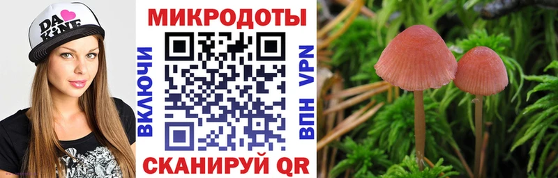 наркошоп Северодвинск сайты даркнета официальный сайт Псилоцибиновые грибы ЛСД